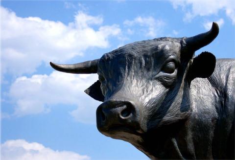 Durham Bull statue head.jpg